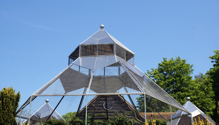 cach-thiet-ke-aviary-tai-nha